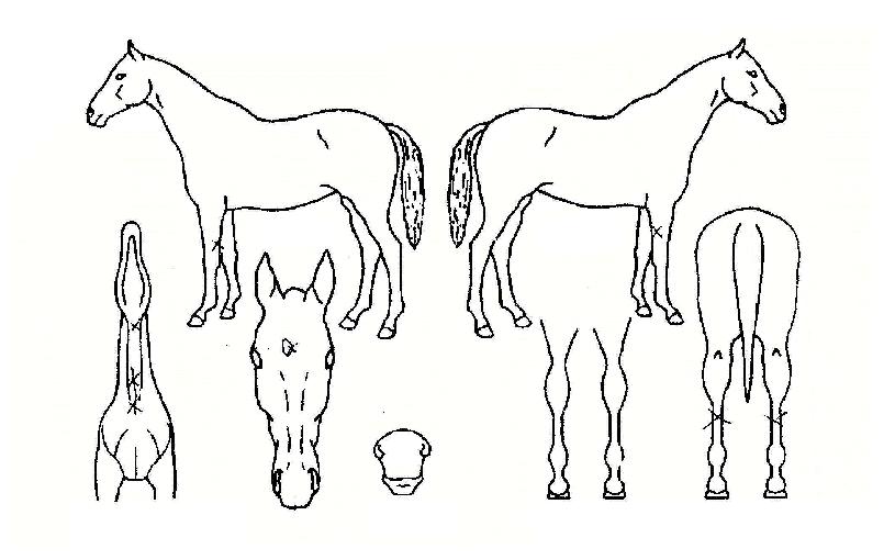 �κ�׷��̽��� ����,���,�޸�,�λ�,�ٸ��� Ư¡����