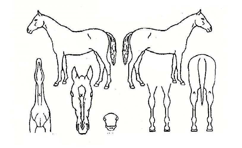 ����޽����� ����,���,�޸�,�λ�,�ٸ��� Ư¡����