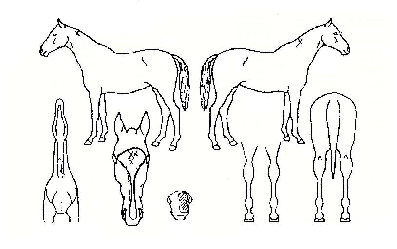 ���ڷ��� ����,���,�޸�,�λ�,�ٸ��� Ư¡����