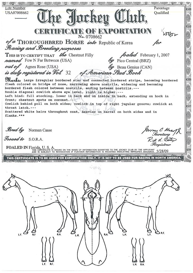 ǻ���ĺ�Ʈ���� ����,���,�޸�,�λ�,�ٸ��� Ư¡����