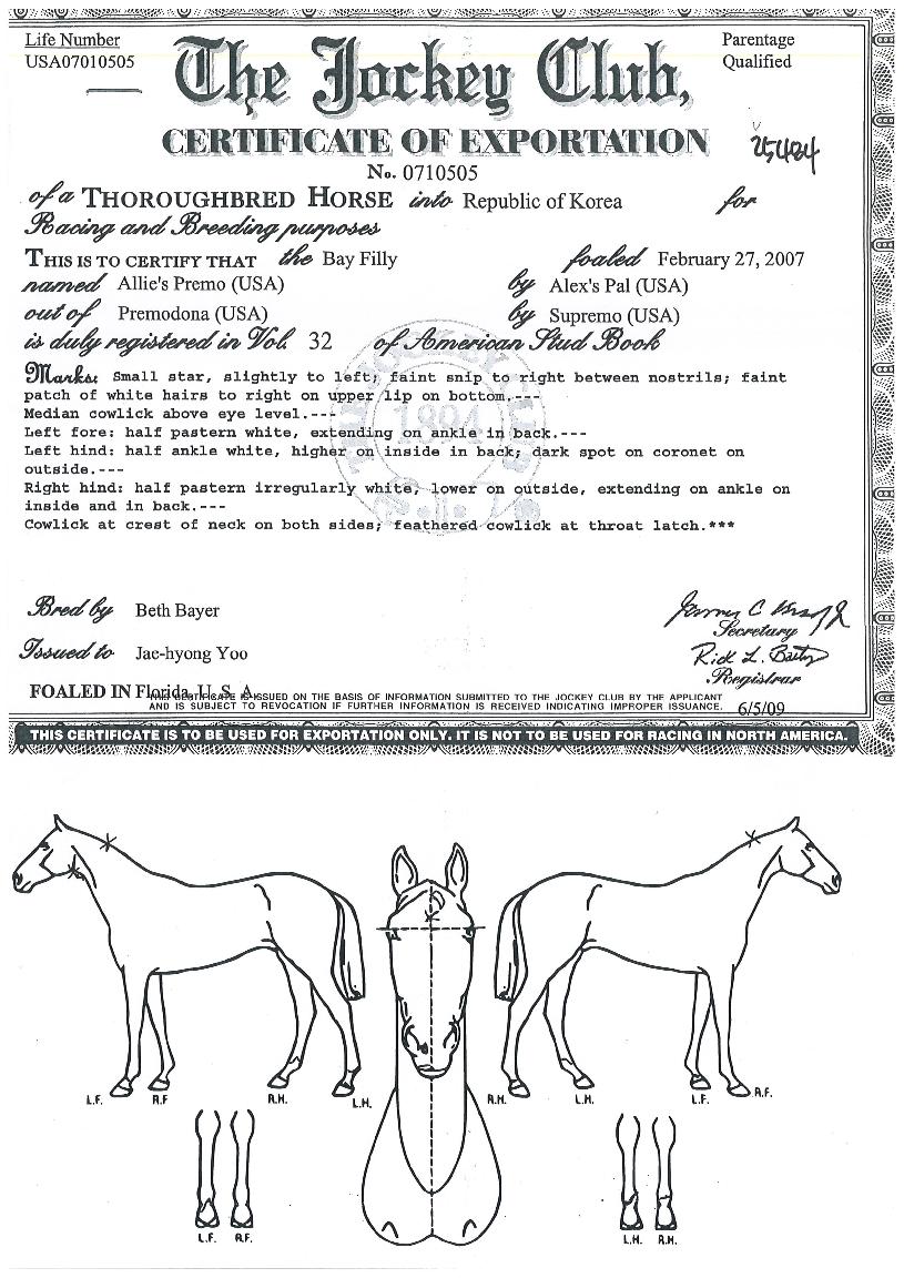 �ٸ����������� ����,���,�޸�,�λ�,�ٸ��� Ư¡����