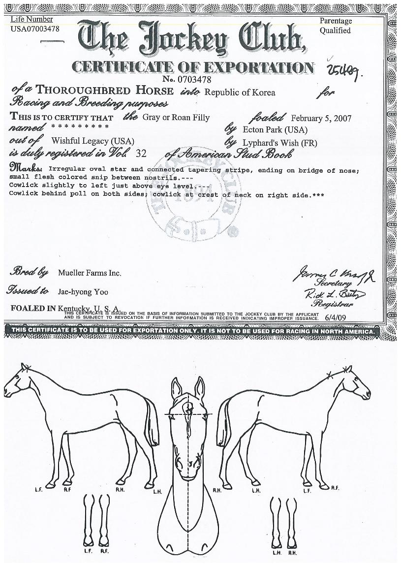 ¿¢Åæ·¹°Å½ÃÀÇ Ãø¸é,¿ì¸é,µÞ¸é,µÎ»ó,´Ù¸®ÀÇ Æ¯Â¡µµÇØ