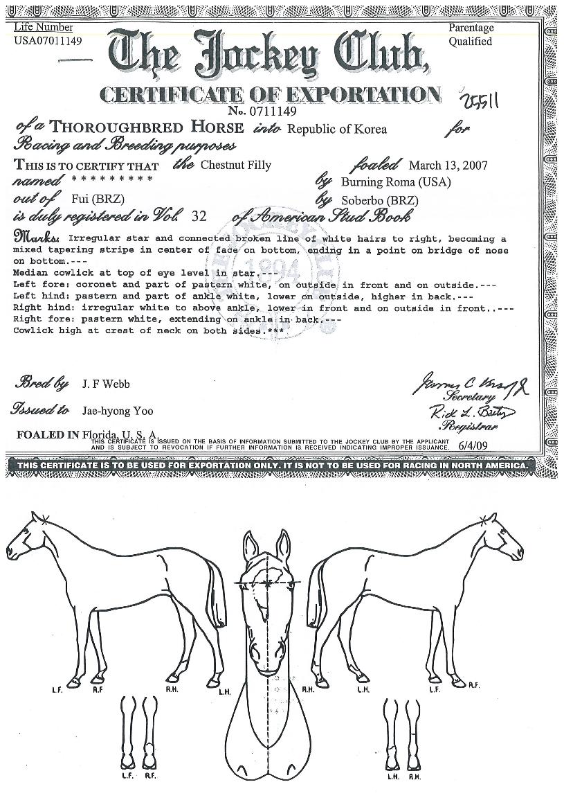 Ž�������� ����,���,�޸�,�λ�,�ٸ��� Ư¡����