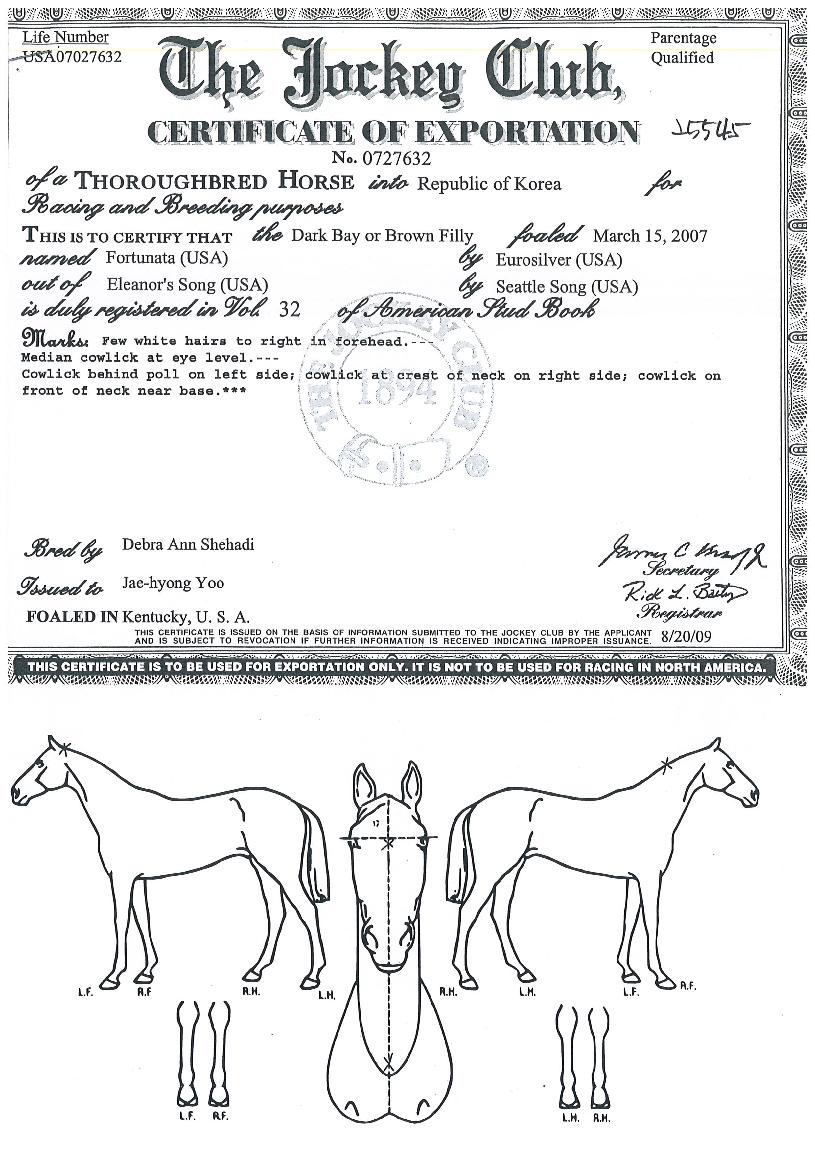 ��������Ÿ�� ����,���,�޸�,�λ�,�ٸ��� Ư¡����