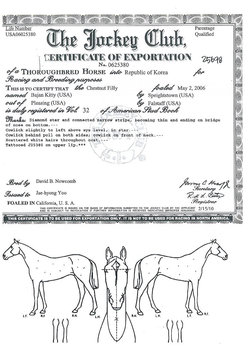 ¹ÙÀÜŰƼÀÇ Ãø¸é,¿ì¸é,µÞ¸é,µÎ»ó,´Ù¸®ÀÇ Æ¯Â¡µµÇØ