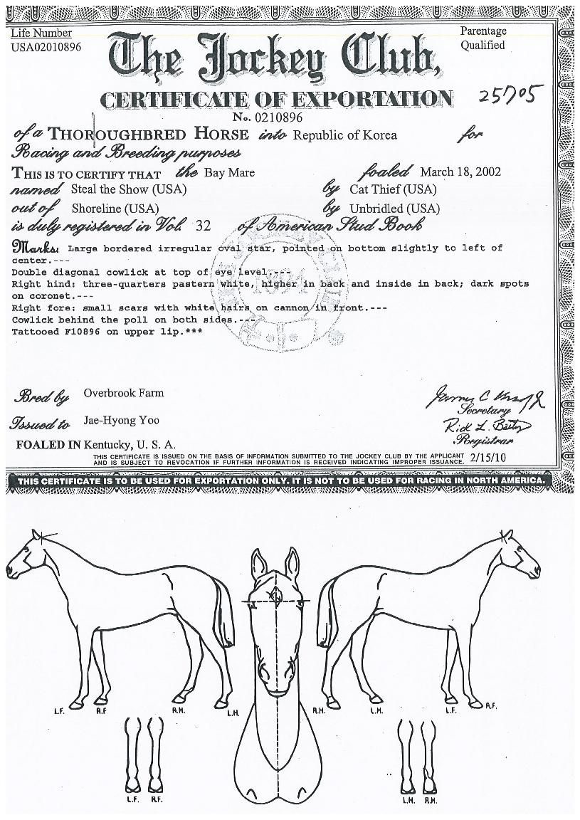 ½ºÆ¿´õ¼îÀÇ Ãø¸é,¿ì¸é,µÞ¸é,µÎ»ó,´Ù¸®ÀÇ Æ¯Â¡µµÇØ