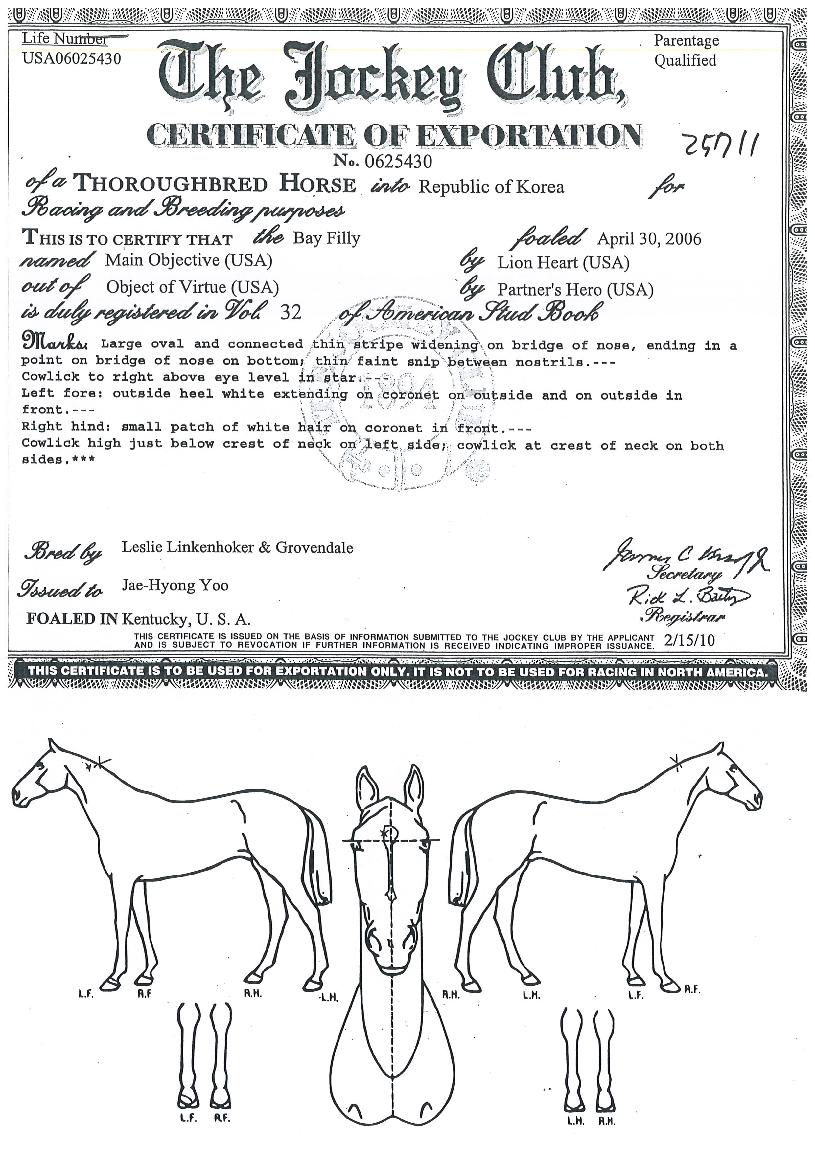 ¸ÞÀξîºêÁ§Æ¼ºêÀÇ Ãø¸é,¿ì¸é,µÞ¸é,µÎ»ó,´Ù¸®ÀÇ Æ¯Â¡µµÇØ