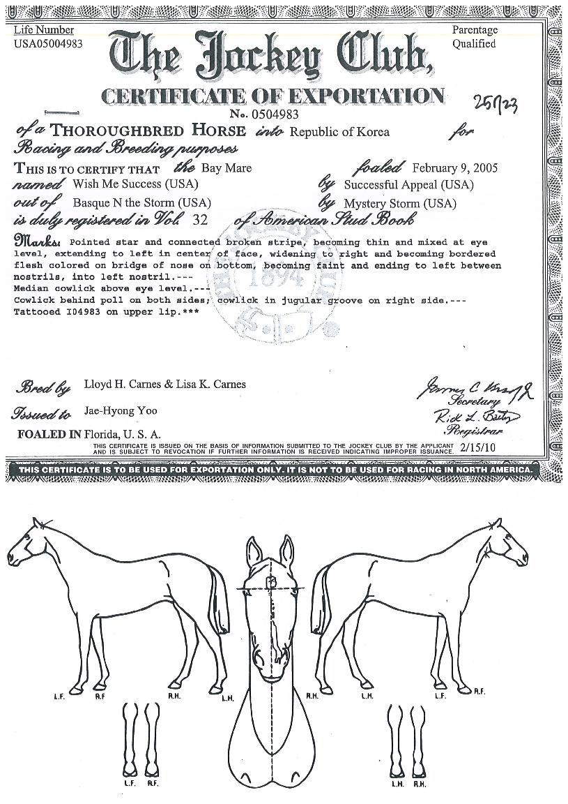 À§½Ã¹Ì¼®¼¼½ºÀÇ Ãø¸é,¿ì¸é,µÞ¸é,µÎ»ó,´Ù¸®ÀÇ Æ¯Â¡µµÇØ