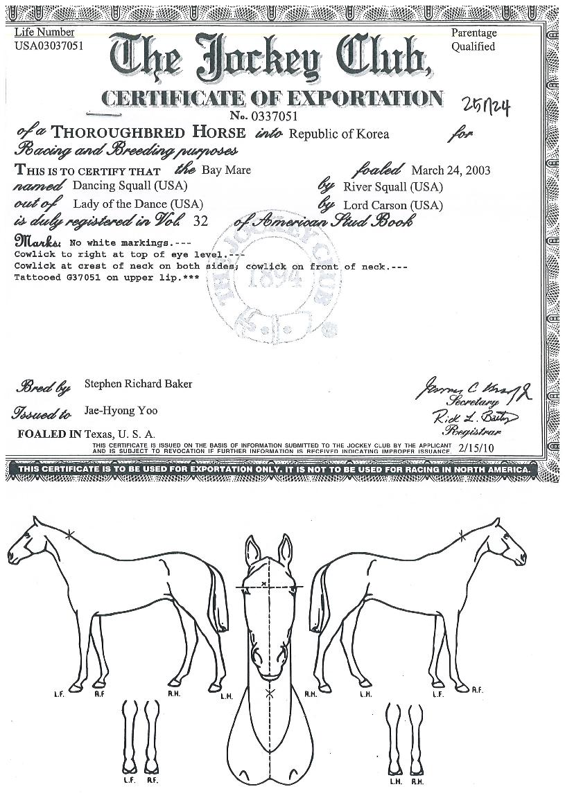 ���̽����� ����,���,�޸�,�λ�,�ٸ��� Ư¡����