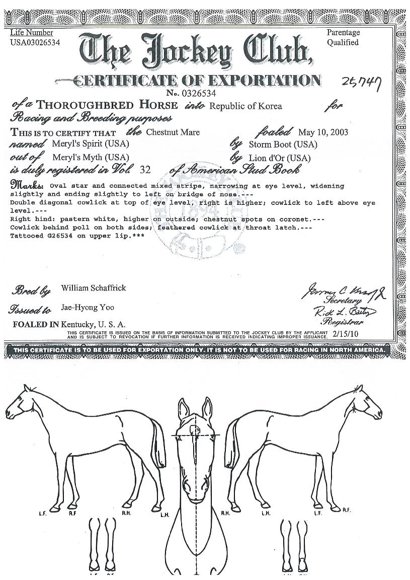 ¸Þ¸±ÁÇǸ´ÀÇ Ãø¸é,¿ì¸é,µÞ¸é,µÎ»ó,´Ù¸®ÀÇ Æ¯Â¡µµÇØ