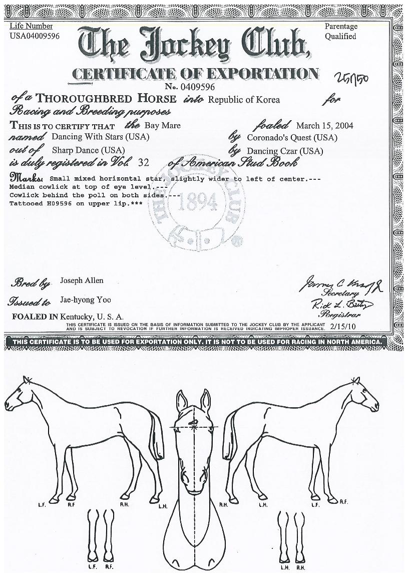 �������彺Ÿ���� ����,���,�޸�,�λ�,�ٸ��� Ư¡����