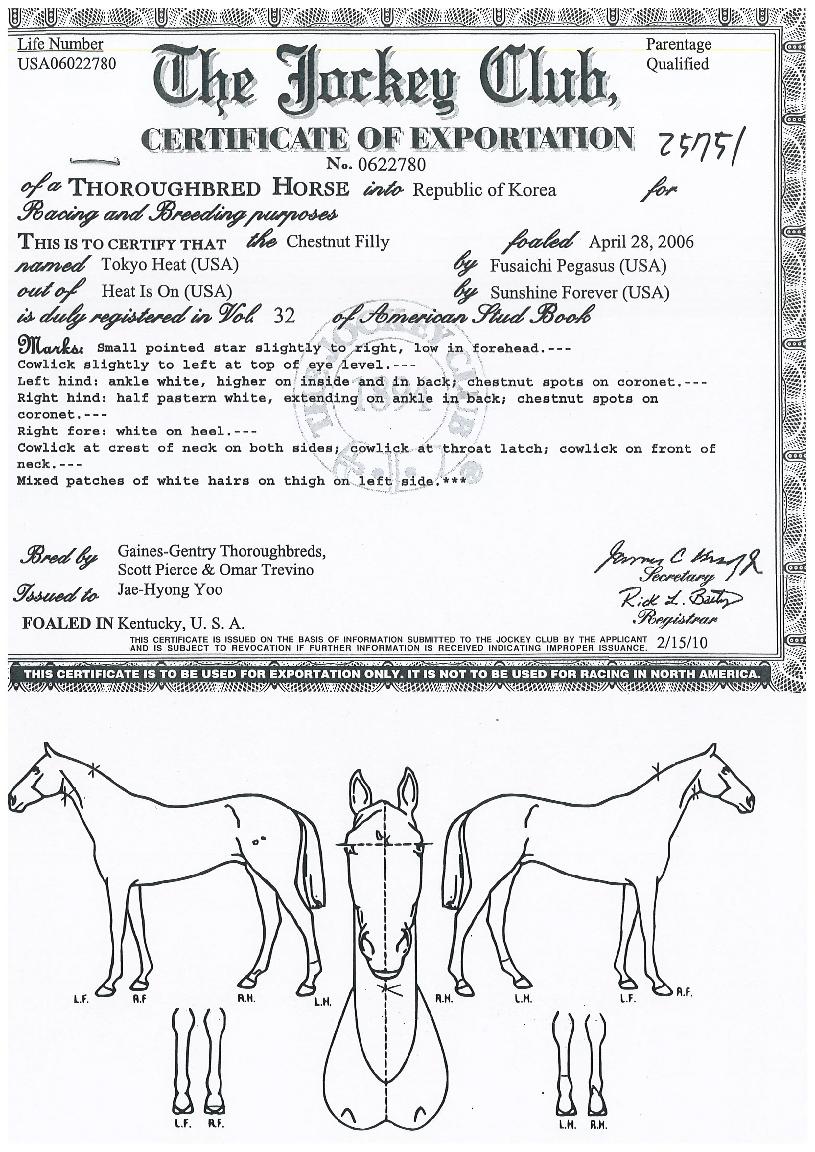 ������Ʈ�� ����,���,�޸�,�λ�,�ٸ��� Ư¡����