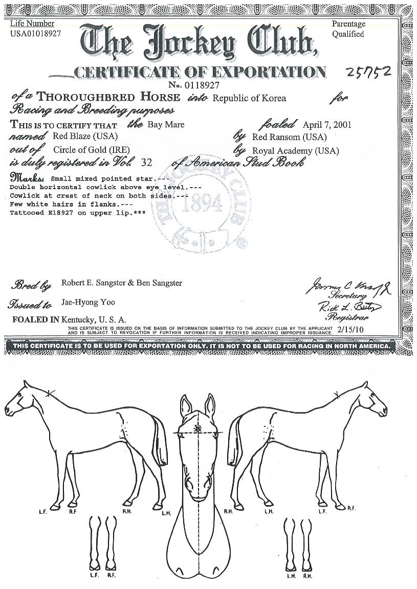 ·¹µåºí·¹ÀÌÁîÀÇ Ãø¸é,¿ì¸é,µÞ¸é,µÎ»ó,´Ù¸®ÀÇ Æ¯Â¡µµÇØ