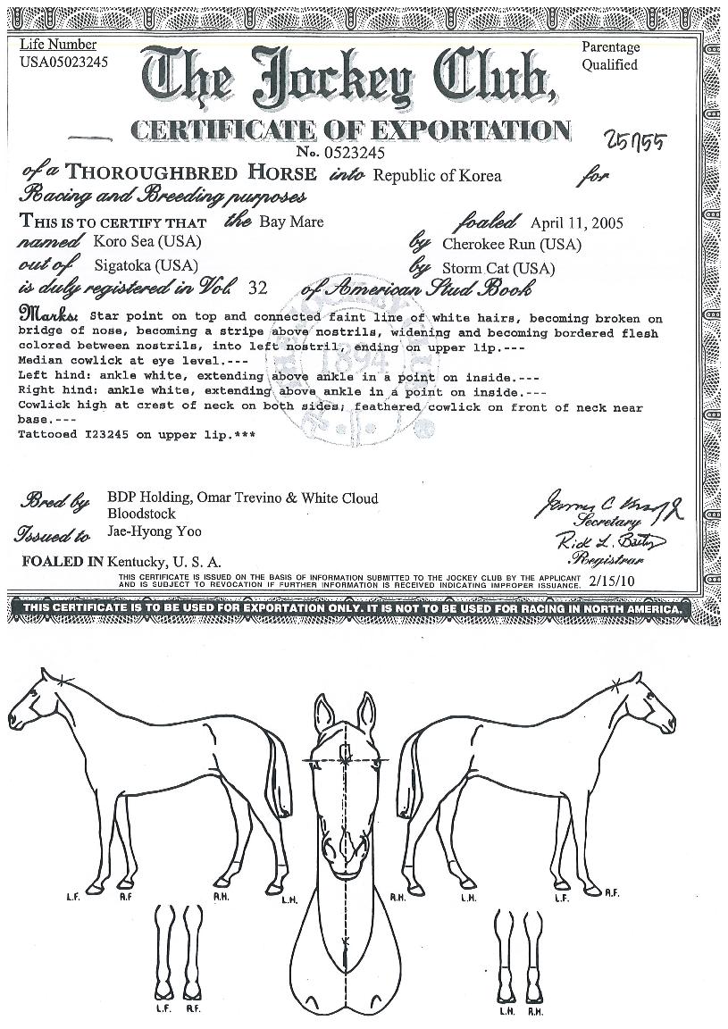 ÄڷνÃÀÇ Ãø¸é,¿ì¸é,µÞ¸é,µÎ»ó,´Ù¸®ÀÇ Æ¯Â¡µµÇØ