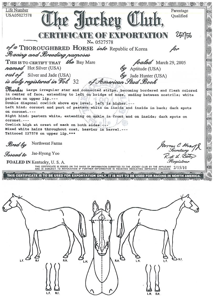 ÇֽǹöÀÇ Ãø¸é,¿ì¸é,µÞ¸é,µÎ»ó,´Ù¸®ÀÇ Æ¯Â¡µµÇØ