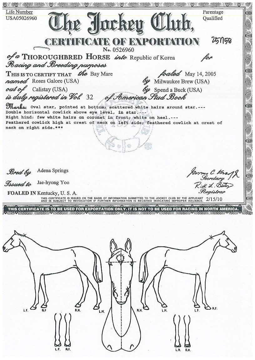 ·Î¿ìÁöÁî°É·Î¾îÀÇ Ãø¸é,¿ì¸é,µÞ¸é,µÎ»ó,´Ù¸®ÀÇ Æ¯Â¡µµÇØ