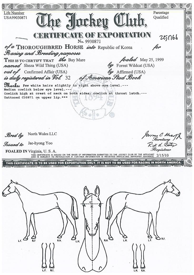 ���ڿ��ϵ���� ����,���,�޸�,�λ�,�ٸ��� Ư¡����