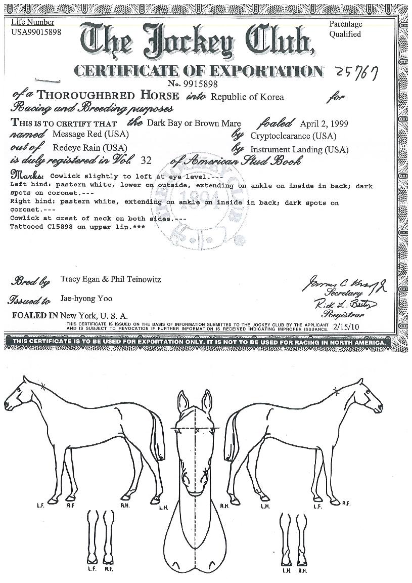 �޽��������� ����,���,�޸�,�λ�,�ٸ��� Ư¡����