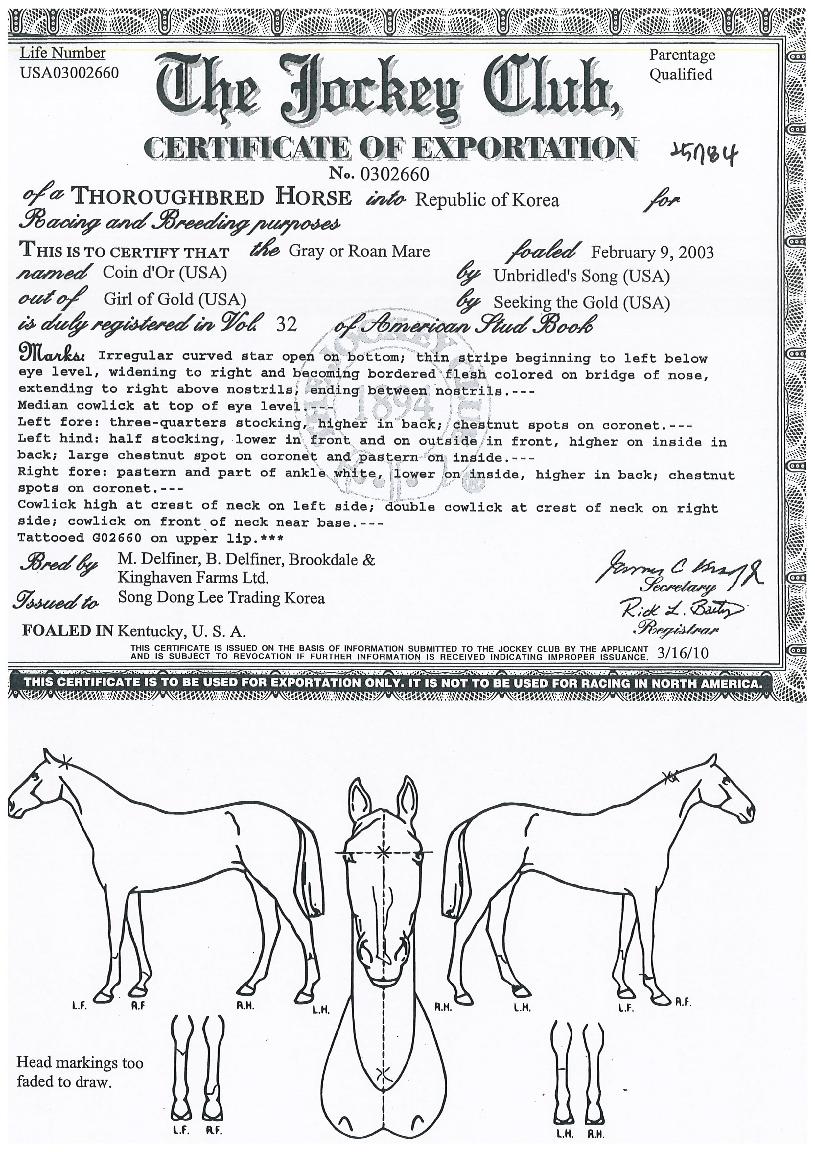 ÄÚÀεµ¸£ÀÇ Ãø¸é,¿ì¸é,µÞ¸é,µÎ»ó,´Ù¸®ÀÇ Æ¯Â¡µµÇØ