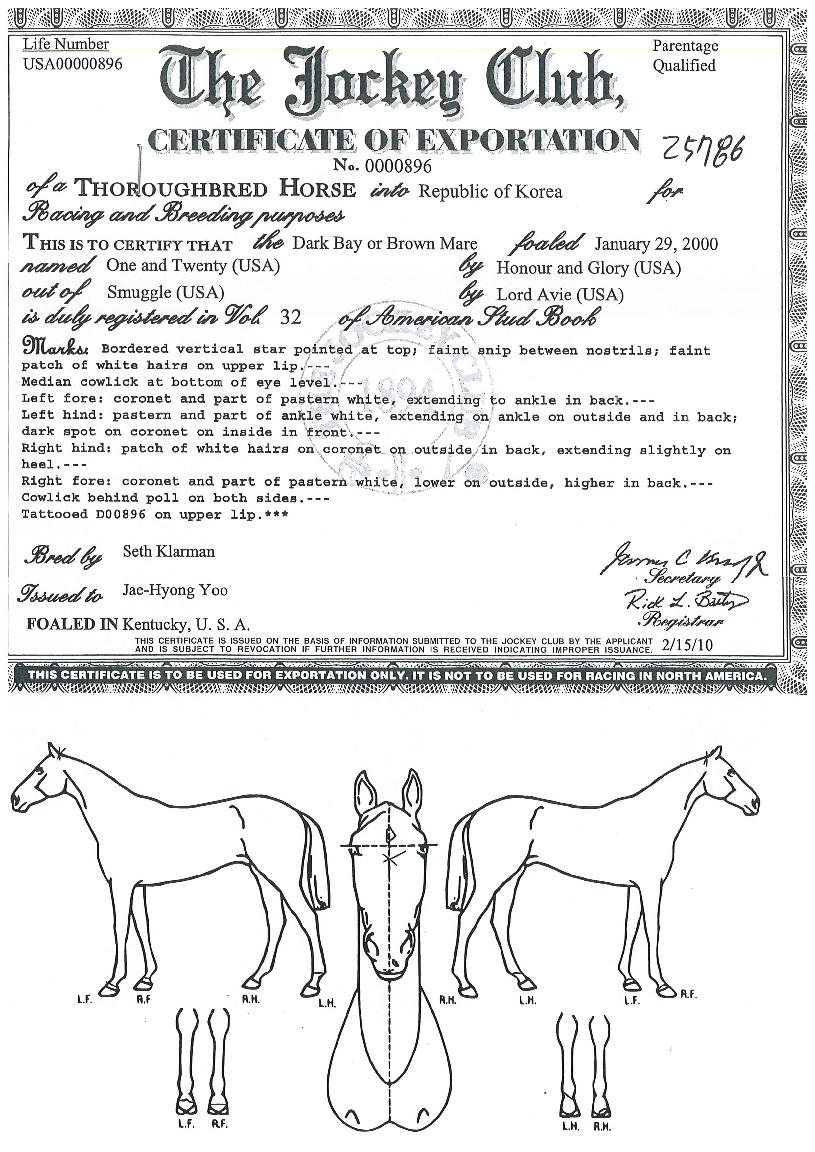 ¿ø¾ØµåÆ®À¢Æ¼ÀÇ Ãø¸é,¿ì¸é,µÞ¸é,µÎ»ó,´Ù¸®ÀÇ Æ¯Â¡µµÇØ