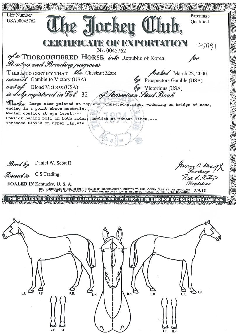 °·ºíÅõºòÅ丮ÀÇ Ãø¸é,¿ì¸é,µÞ¸é,µÎ»ó,´Ù¸®ÀÇ Æ¯Â¡µµÇØ