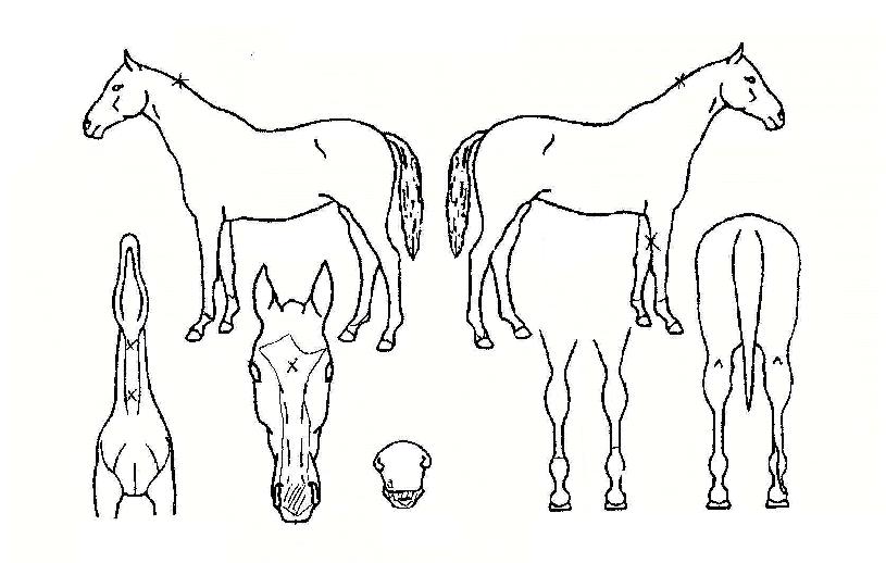 ���丮���� ����,���,�޸�,�λ�,�ٸ��� Ư¡����