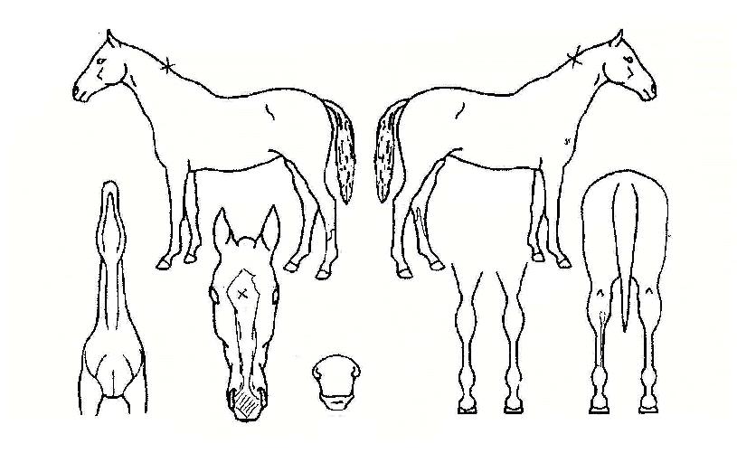 Ž�󿩰��� ����,���,�޸�,�λ�,�ٸ��� Ư¡����