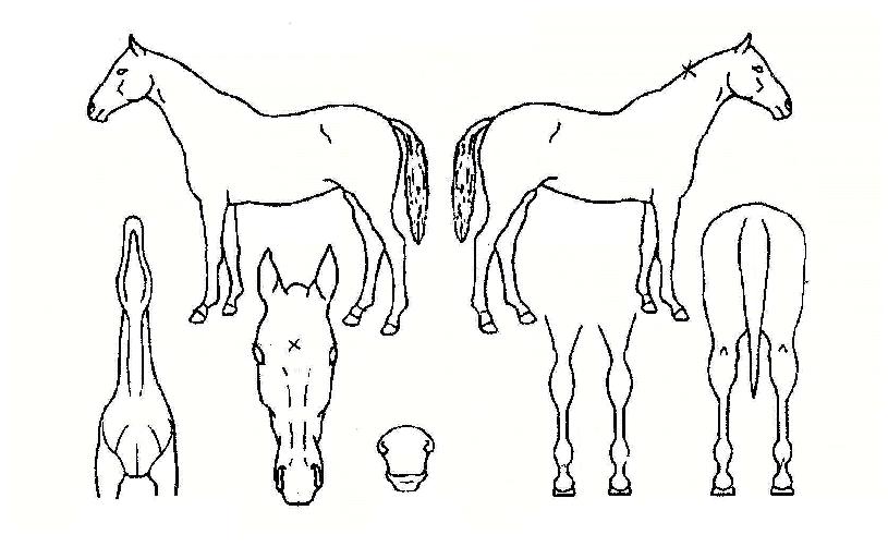 �������� ����,���,�޸�,�λ�,�ٸ��� Ư¡����