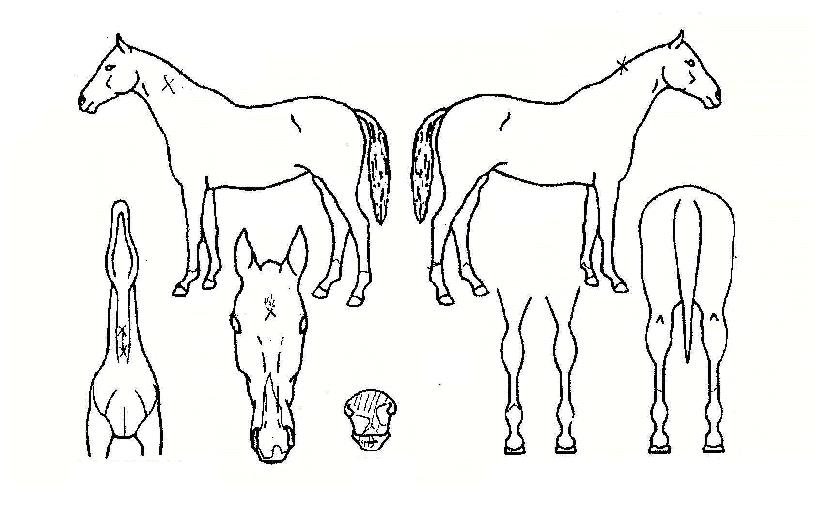 ������Ÿ���� ����,���,�޸�,�λ�,�ٸ��� Ư¡����