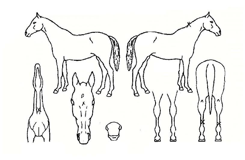 ���丮Ĺ�� ����,���,�޸�,�λ�,�ٸ��� Ư¡����