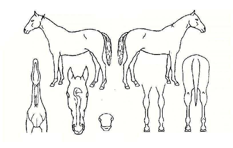 �̽��Ͱ����� ����,���,�޸�,�λ�,�ٸ��� Ư¡����