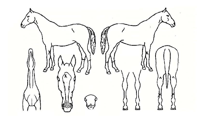 ��õ�Ǻ����� ����,���,�޸�,�λ�,�ٸ��� Ư¡����