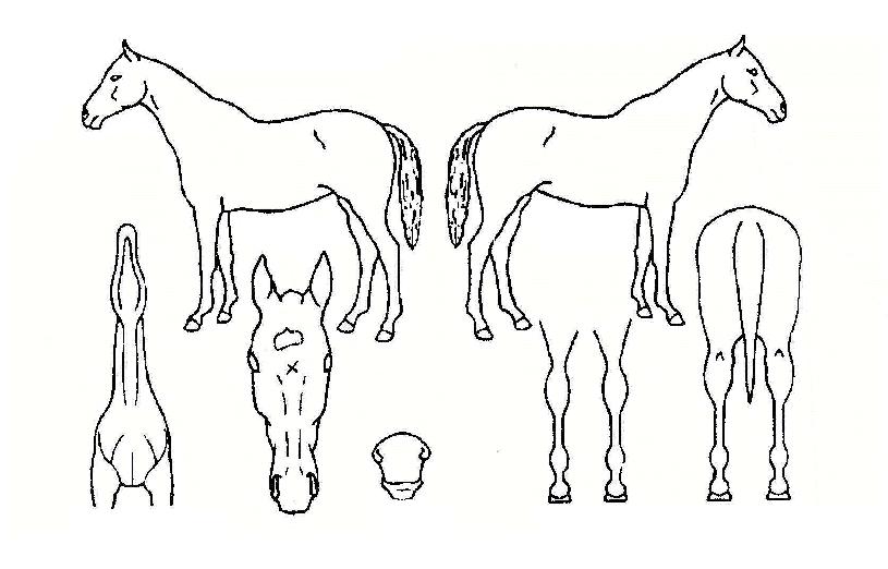 �Ͼ��ڵ��ڸ��� ����,���,�޸�,�λ�,�ٸ��� Ư¡����