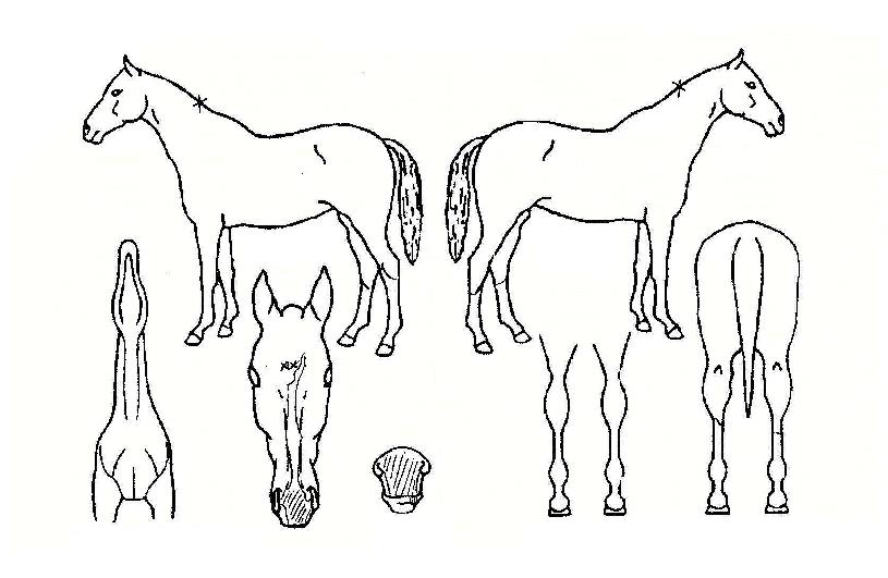 ���̽������ ����,���,�޸�,�λ�,�ٸ��� Ư¡����