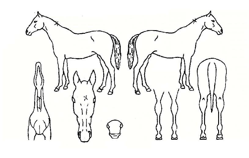 �������� ����,���,�޸�,�λ�,�ٸ��� Ư¡����