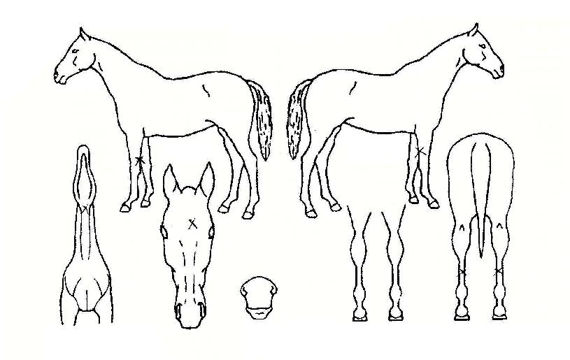 ����Ʈ����� ����,���,�޸�,�λ�,�ٸ��� Ư¡����