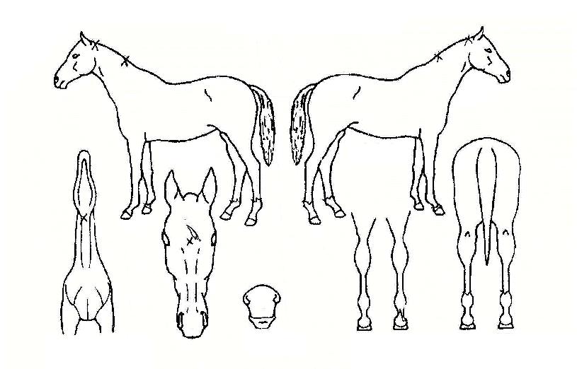 ���ļ����̼��ڸ��� ����,���,�޸�,�λ�,�ٸ��� Ư¡����