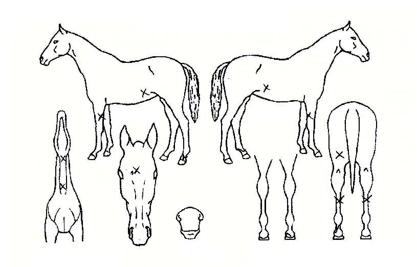 �湫����� ����,���,�޸�,�λ�,�ٸ��� Ư¡����