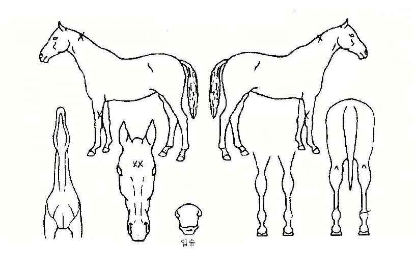 ÅÍġķÇÁÀÇ Ãø¸é,¿ì¸é,µÞ¸é,µÎ»ó,´Ù¸®ÀÇ Æ¯Â¡µµÇØ