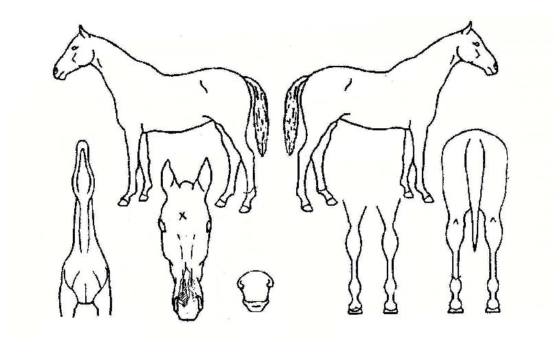 ��ȭ����� ����,���,�޸�,�λ�,�ٸ��� Ư¡����