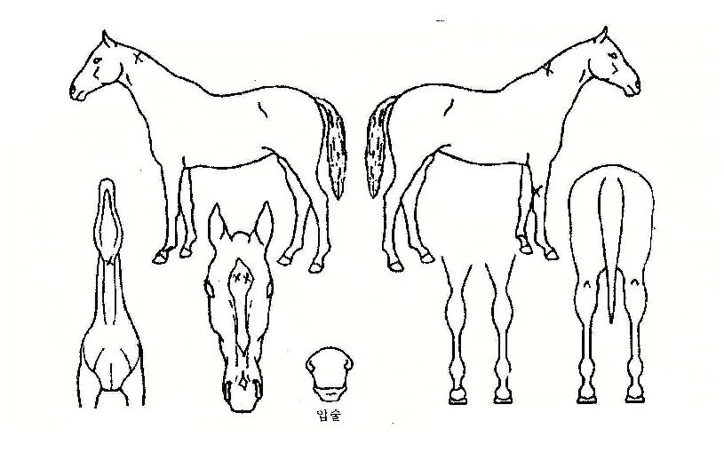 Ű���������� ����,���,�޸�,�λ�,�ٸ��� Ư¡����