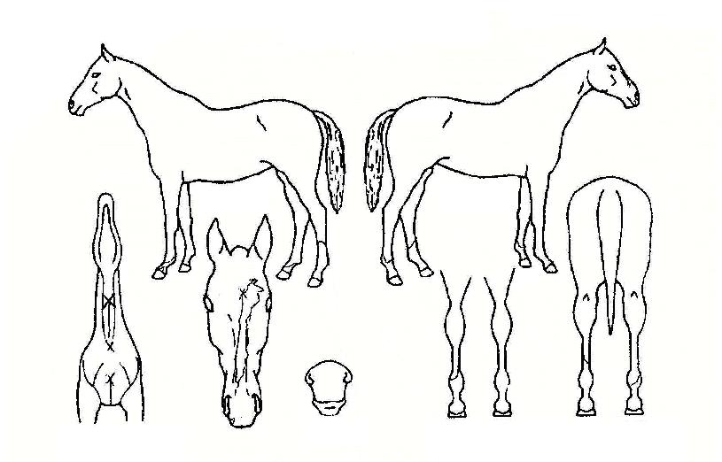 Ű����� ����,���,�޸�,�λ�,�ٸ��� Ư¡����