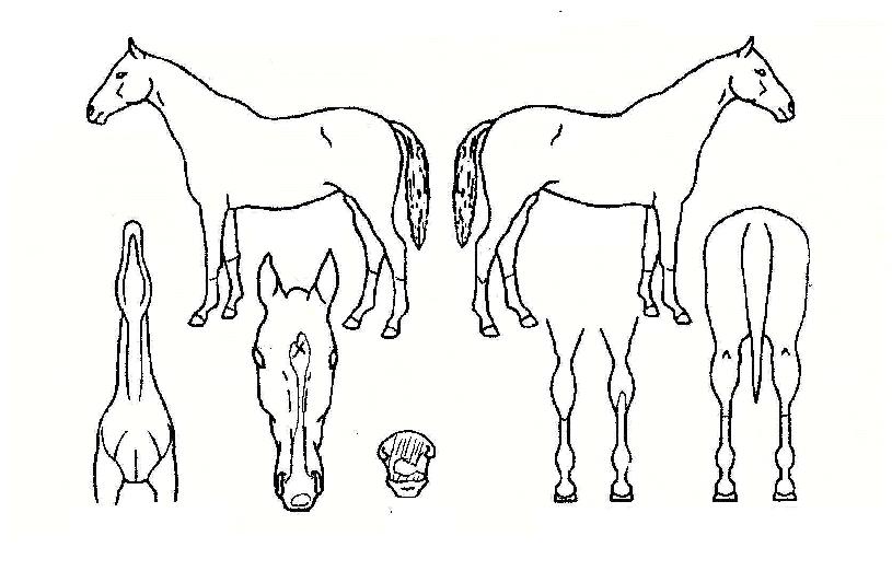 ȯ���ǽ����� ����,���,�޸�,�λ�,�ٸ��� Ư¡����