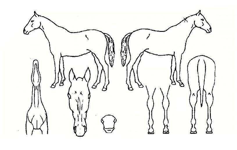 ���̽����� ����,���,�޸�,�λ�,�ٸ��� Ư¡����