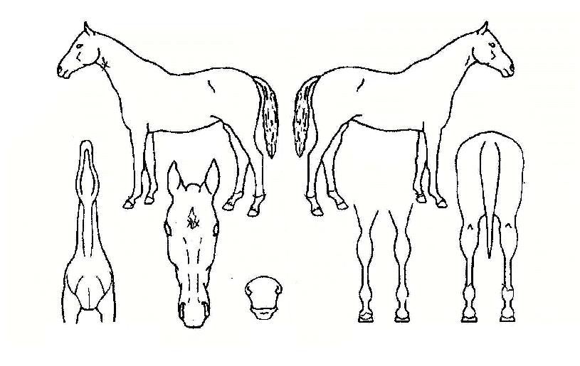 ������ƾ�� ����,���,�޸�,�λ�,�ٸ��� Ư¡����