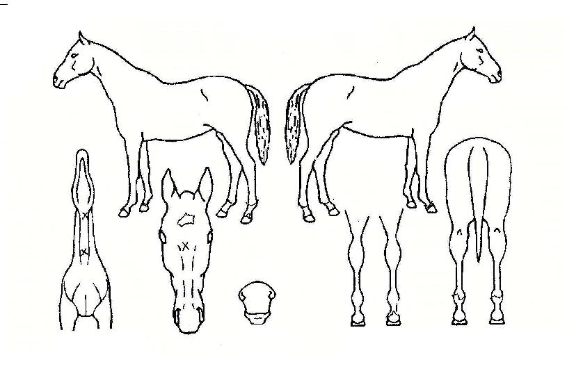 �ö��ַ����� ����,���,�޸�,�λ�,�ٸ��� Ư¡����