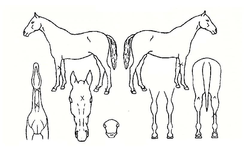 °í°øÆø°ÝÀÇ Ãø¸é,¿ì¸é,µÞ¸é,µÎ»ó,´Ù¸®ÀÇ Æ¯Â¡µµÇØ