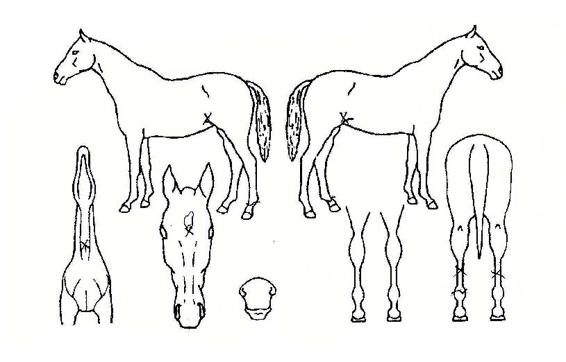 ������ġ�� ����,���,�޸�,�λ�,�ٸ��� Ư¡����