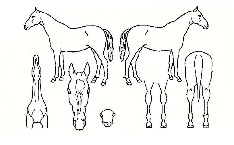 ��ȭó���� ����,���,�޸�,�λ�,�ٸ��� Ư¡����