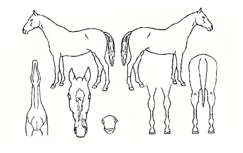 ��Ű������ ����,���,�޸�,�λ�,�ٸ��� Ư¡����